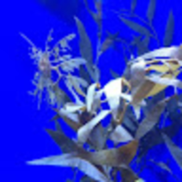 Meet your Posher, Mark - Picture 1 of 1